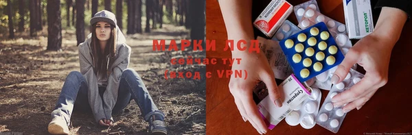 МДПВ Осинники