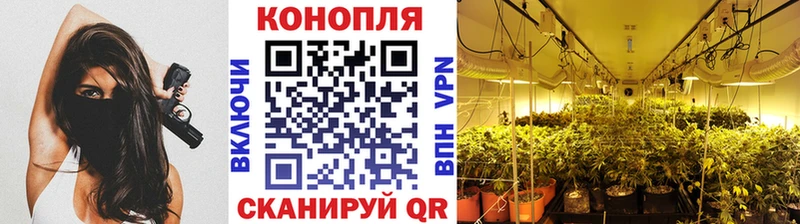 Купить где  Троицк  Конопля SATIVA & INDICA 